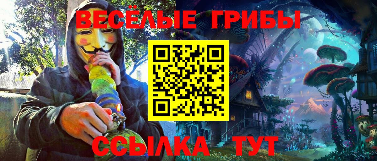 Галлюциногенные грибы мухоморы Таганрог