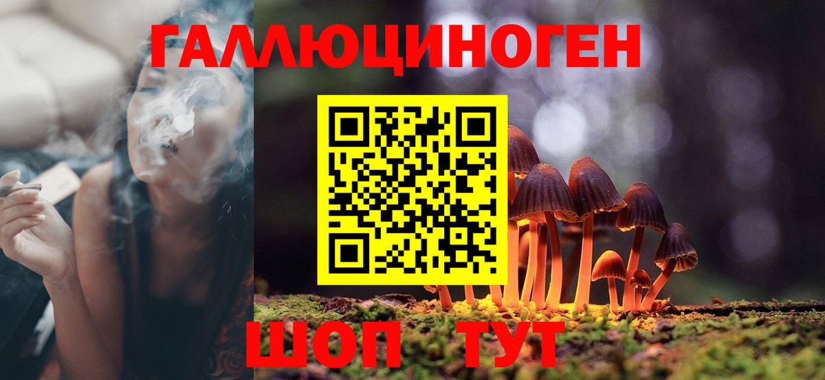 Псилоцибиновые грибы Cubensis  Вход с VPN  Таганрог 